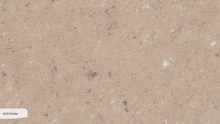 4230 Shitake